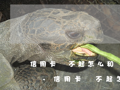 信用卡還不起怎么和銀行協(xié)商掛賬-信用卡還不起怎么和銀行協(xié)商掛賬呢