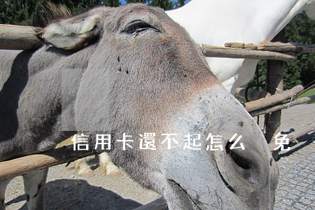 信用卡還不起怎么減免