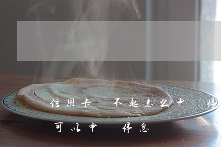 信用卡還不起怎么申請停息掛賬(信用卡是否可以申請停息掛賬)