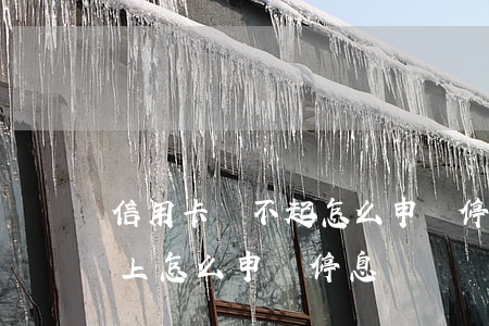 信用卡還不起怎么申請停息掛賬(信用卡還不上怎么申請停息掛賬)