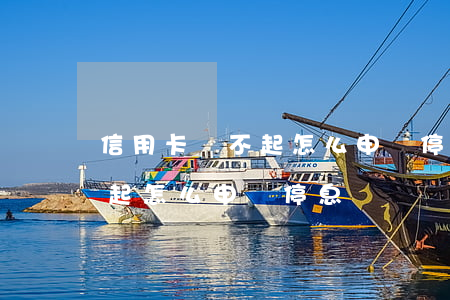信用卡還不起怎么申請停息掛賬(信用卡還不起怎么申請停息掛賬)