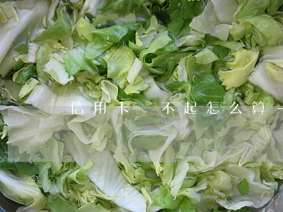 信用卡還不起怎么算-如信用卡還不上怎么辦