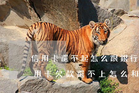 信用卡還不起怎么跟銀行協(xié)商(信用卡欠款還不上怎么和銀行協(xié)商)