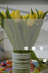 信用卡還不起怎么銷戶-信用卡還不起怎么銷戶呢