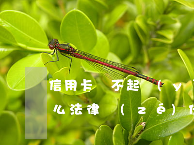 信用卡還不起應(yīng)負(fù)什么法律責(zé)任-信用卡還不起應(yīng)負(fù)什么法律責(zé)任呢