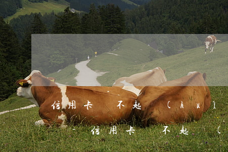 信用卡還不起會(huì)一直被起訴下去嗎-信用卡還不起會(huì)一直被起訴下去嗎知乎