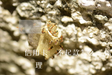 信用卡還不起款怎么辦(信用卡還不起款怎么辦理)