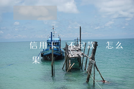 信用卡還不起款會怎么樣(信用卡還不起的后果)