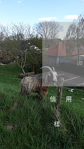 信用卡還不起的圖片(還不上信用卡的錢會怎樣)