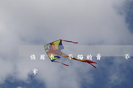 信用卡還不起的音樂(還不起信用卡的錢會坐牢嗎)