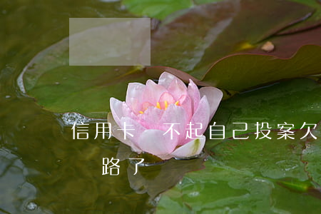 信用卡還不起自己投案(欠信用卡還不上走投無路了)