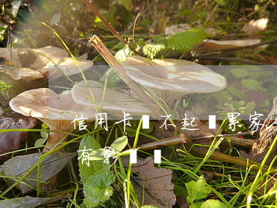 信用卡還不起連累家人(欠信用卡不還對家屬有影響嗎)