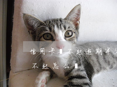 信用卡還不起逾期半年(20年信用卡逾期還不起怎么辦)