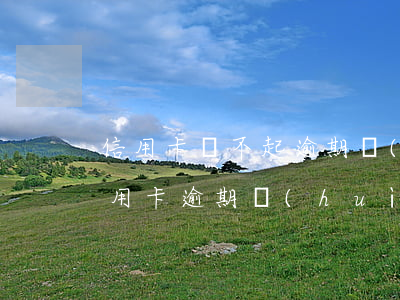 信用卡還不起逾期會(huì)坐牢嗎(欠信用卡逾期會(huì)不會(huì)坐牢)