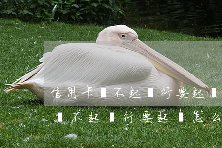 信用卡還不起銀行要起訴怎么處理-信用卡還不起銀行要起訴怎么處理呢