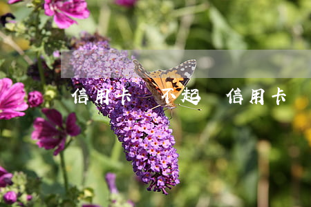 信用卡還不起錢(信用卡還不起錢會怎么樣)