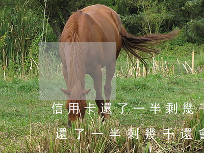 信用卡還了一半剩幾千還會起訴嗎-信用卡還了一半剩幾千還會起訴嗎怎么辦