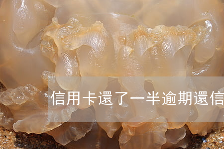 信用卡還了一半逾期(還信用卡可以逾期幾天)