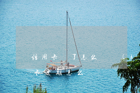 信用卡還了怎么還會(huì)逾期(信用卡卡逾期怎么還)