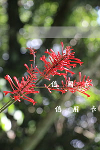 信用卡還了最低還會逾期嗎(這個(gè)月信用卡還最低了還用還嗎)