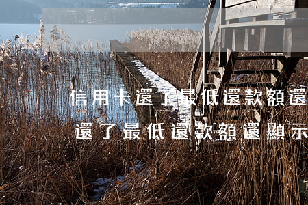 信用卡還了最低還款額還顯示逾期-信用卡還了最低還款額還顯示逾期怎么辦