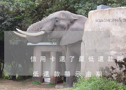 信用卡還了最低還款顯示逾期(信用卡還了最低還款顯示逾期)