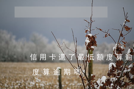 信用卡還了最低額度算逾期嗎6(還款最低額度算逾期嗎)