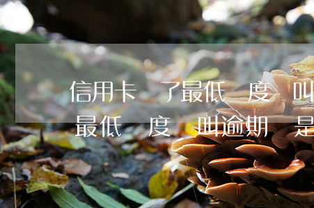 信用卡還了最低額度還叫逾期嗎(信用卡還了最低額度還叫逾期嗎是真的嗎)