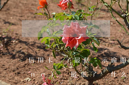 信用卡還了最低顯示逾期(信用卡已經(jīng)還最低了為什么還顯示逾期)
