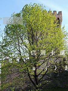 信用卡還了本金沒(méi)還利息會(huì)起訴嗎-信用卡還了本金沒(méi)還利息會(huì)起訴嗎怎么辦