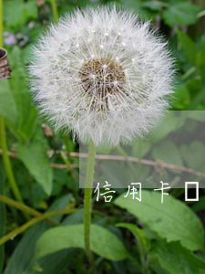信用卡還了老提示逾期-有一個信用卡逾期