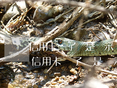 信用卡還了還是顯示當(dāng)前逾期 信用卡還了還是顯示當(dāng)前逾期