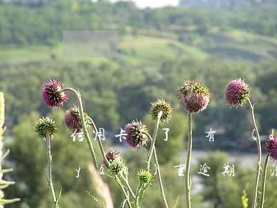 信用卡還了還有當(dāng)前逾期 嚴(yán)重逾期還清后申請(qǐng)信用卡