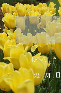 信用卡還利息算不算逾期(信用卡利息沒還算逾期嗎)