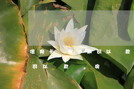 信用卡還在逾期可以貸款嗎(信用卡還在逾期可以貸款嗎買房) 信用卡還在逾期可以貸款嗎(信用卡還在逾期可以貸款嗎買房)