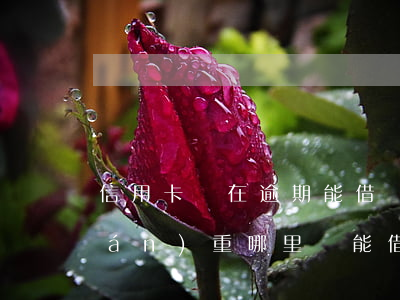 信用卡還在逾期能借錢嗎(信用卡逾期嚴(yán)重哪里還能借款)