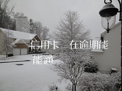 信用卡還在逾期能車貸嗎(信用卡逾期了車貸能通過嗎)