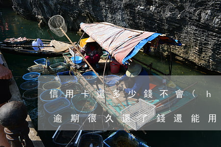 信用卡還多少錢不會(huì)逾期(信用卡逾期很久還了錢還能用嗎)