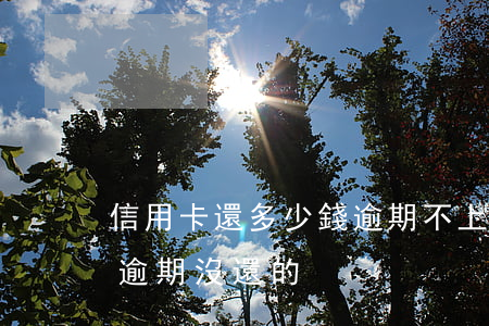 信用卡還多少錢逾期不上征信(有沒有信用卡逾期沒還的)