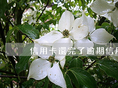 信用卡還完了逾期(信用卡還完了逾期)