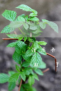 信用卡還完就用會不會逾期(以前用信用卡逾期過了為什么還能辦信用卡)