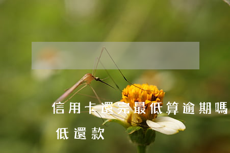 信用卡還完最低算逾期嗎(信用卡逾期后還最低還款)