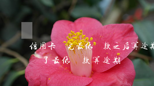 信用卡還完最低還款之后算逾期嗎(還款日前還了最低還款算逾期嗎)