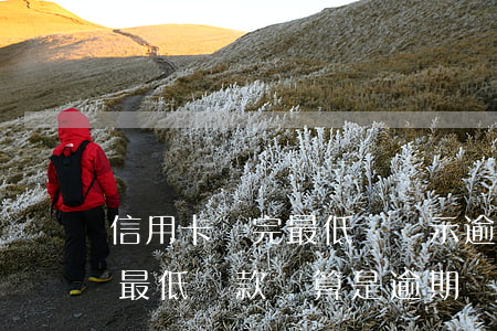 信用卡還完最低還顯示逾期(每個月信用卡還最低還款額算是逾期嗎)