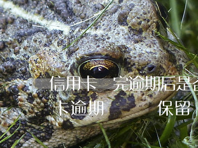 信用卡還完逾期后是否應銷戶-銷戶的信用卡逾期記錄還保留
