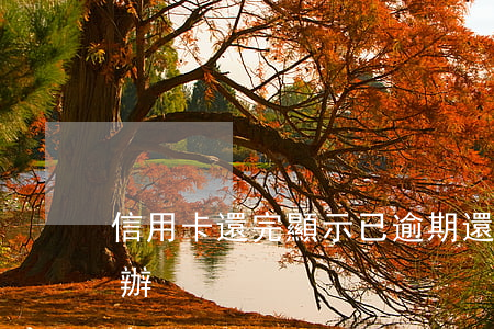 信用卡還完顯示已逾期(還信用卡逾期了怎么辦)