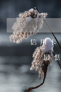 信用卡還掉最低還款算不算逾期(還信用卡超過最低還款)