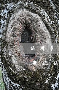 信用卡還最低款項(xiàng)還收到逾期短信(信息用卡還最低還款算逾期嗎)