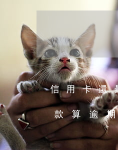 信用卡還最低還款算逾期-信用卡還最低還款算逾期利息嗎