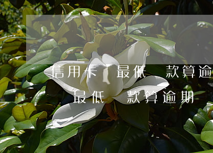 信用卡還最低還款算逾期嗎怎么辦-信用卡還最低還款算逾期嗎怎么辦理